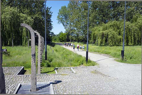 Photograph of Birkenau fence and visitors pathway taken in May 2017.